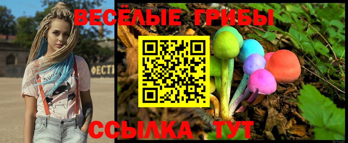 Псилоцибиновые грибы Psilocybe  Вход с VPN  Галлюциногенные грибы MAGIC MUSHROOMS  Чебоксары 